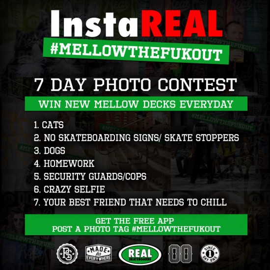 rs_mellow_photo_7day_900